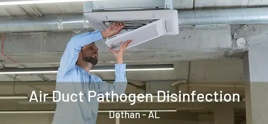Air Duct Pathogen Disinfection Dothan - AL