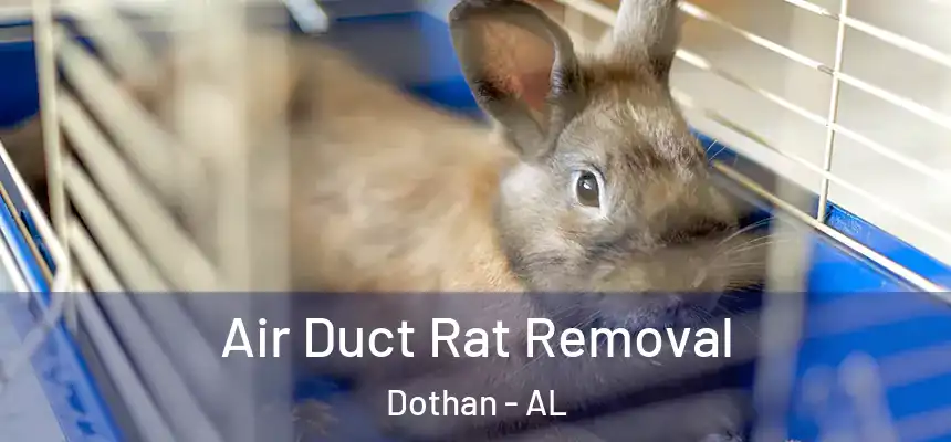 Air Duct Rat Removal Dothan - AL
