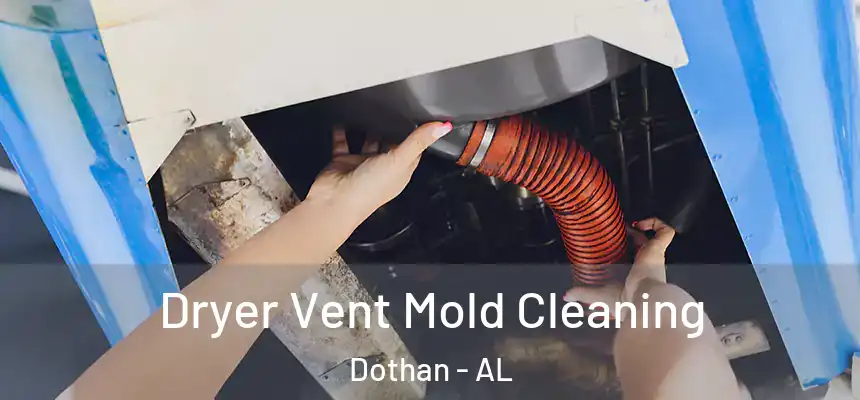 Dryer Vent Mold Cleaning Dothan - AL