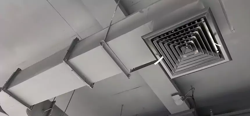 Restorative Allergy Relief Vent Cleaning – Coil, Blower & Housing Detail in Dothan