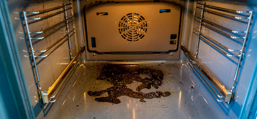 Our Dryer Vent Mold Cleaning Services in Dothan, AL