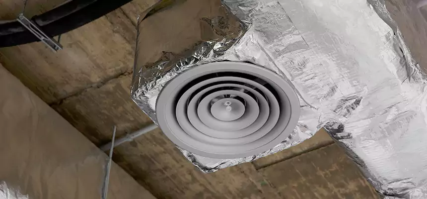 Our Excess Lint Removal from Dryer Ducts Services in Dothan, AL