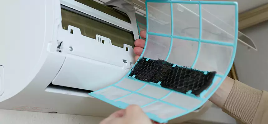 Gentle Ductwork Odor-Control Pet Dander Duct Cleaning in Dothan, AL