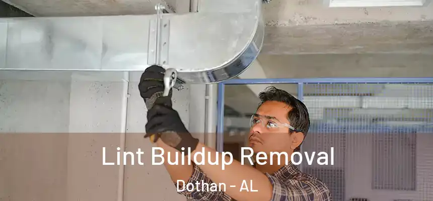 Lint Buildup Removal Dothan - AL