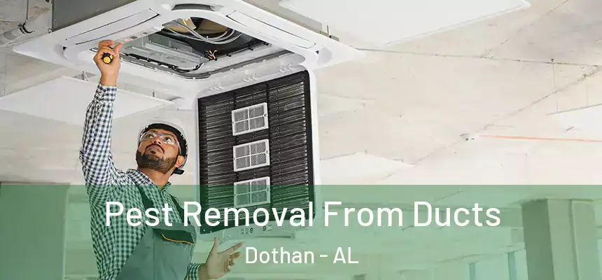 Pest Removal From Ducts Dothan - AL