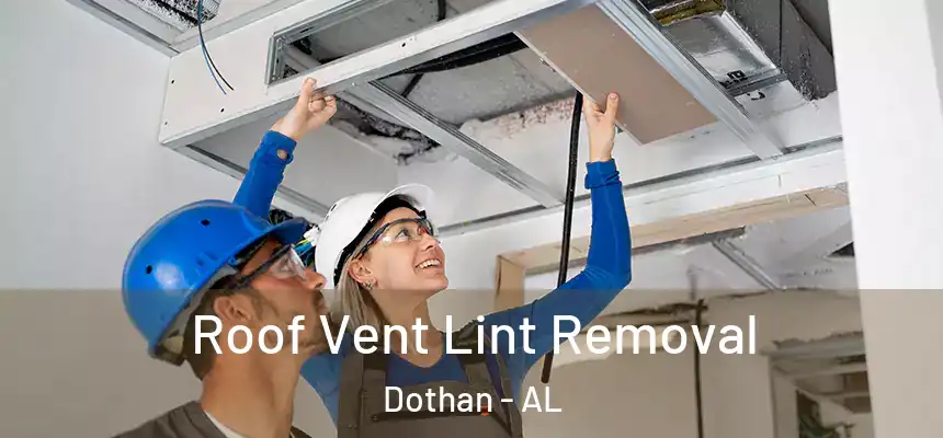 Roof Vent Lint Removal Dothan - AL
