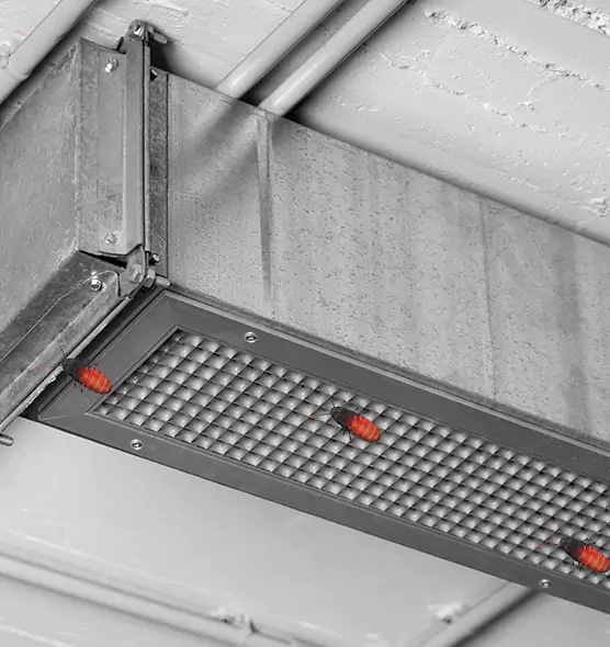 About Air Duct Cockroach Removal in Dothan, AL