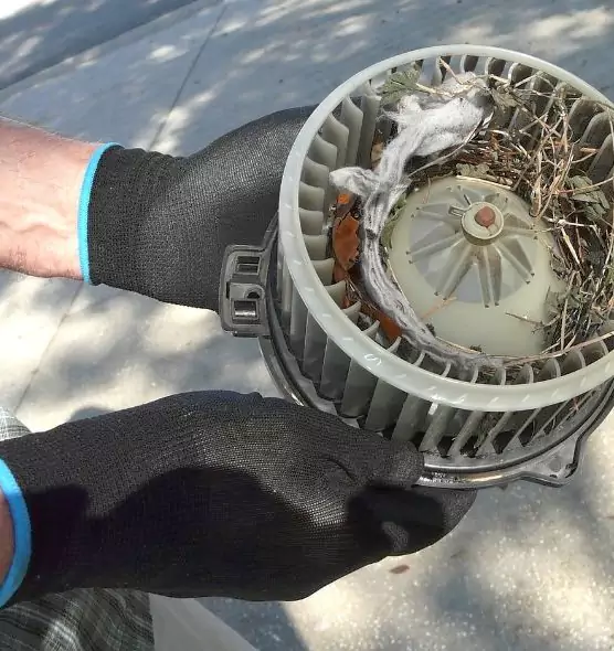 About Air Duct Rat Removal in Dothan, AL