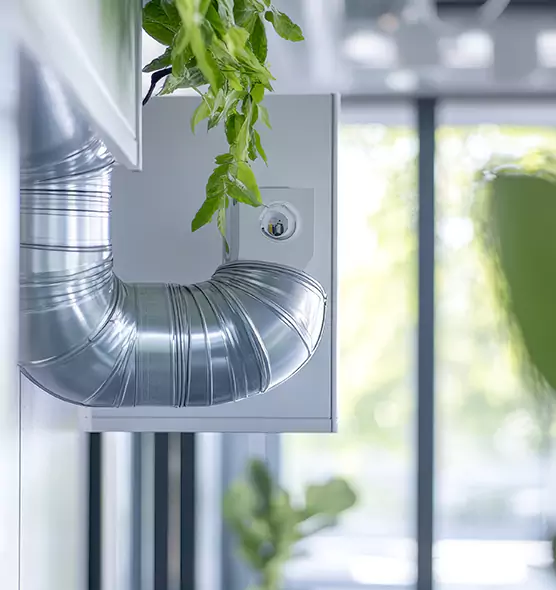 Professional Eco-Safe Dryer Vent Cleaning in Dothan, AL