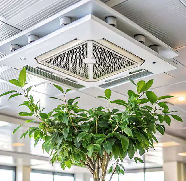 Why Homeowners & Businesses Trust Us in Dothan, AL?