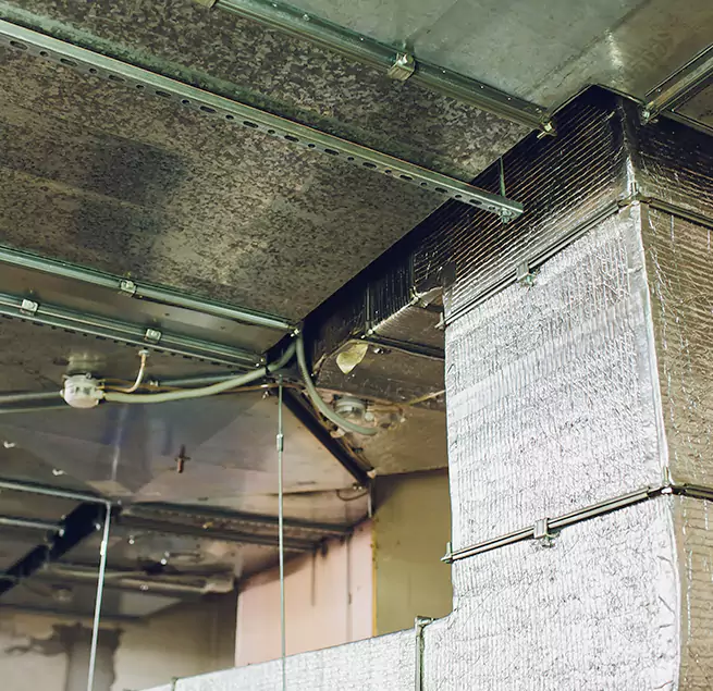 Why Homeowners & Businesses Trust Us in Dothan, AL?