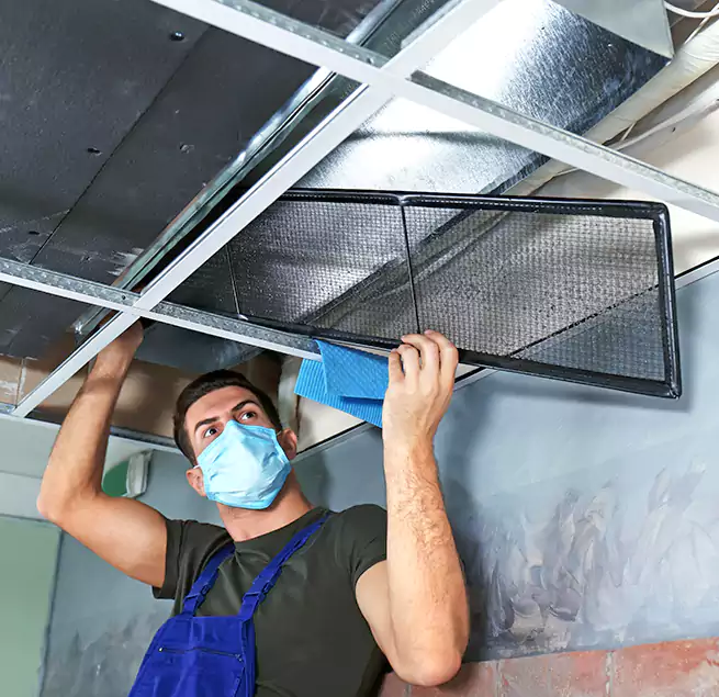 Why Homeowners Businesses Trust Us in Dothan, AL